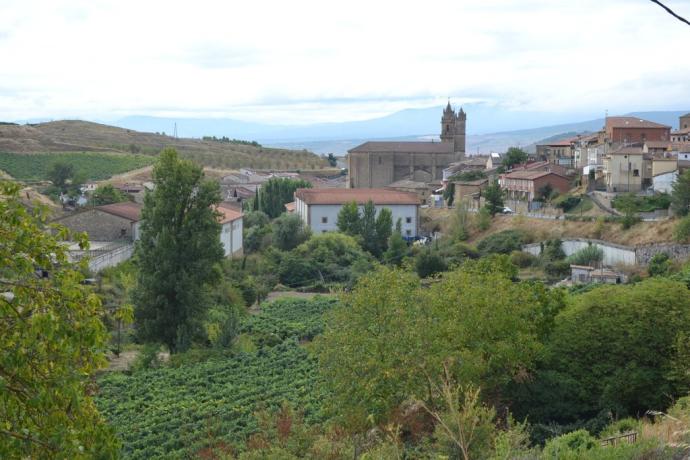 Vista general de Elciego