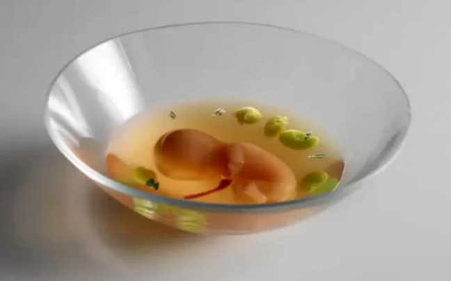 La creación gastronómica del chef Aduriz que simula un embrión humano.