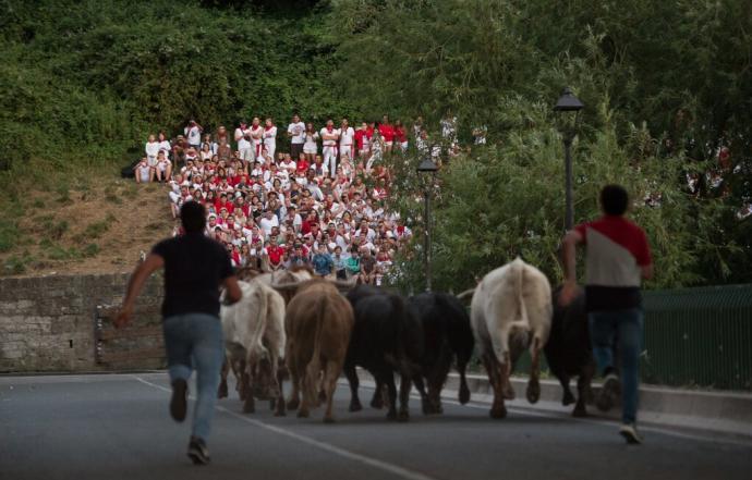 Encierrillo con toros de la ganadería de Fuente Ymbro para el encierro del día 10 en los Sanfermines de 2019