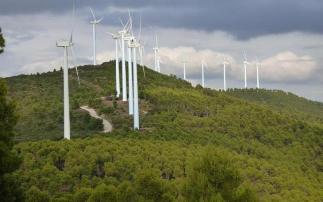Parque eólico.