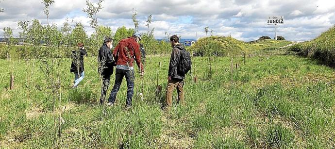 Visita de campo a la zona del parque de Jundiz en proceso de restauración. Foto: Cedida / CEA