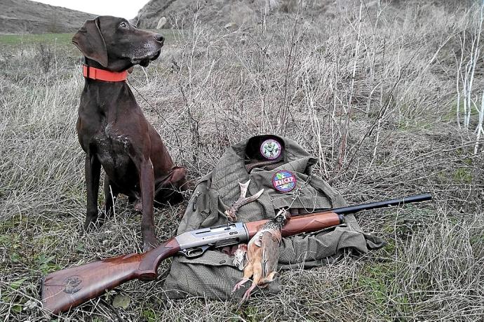 Perro con perdiz y desmogue de corzo. Foto: Óscar Hernández Sarabia