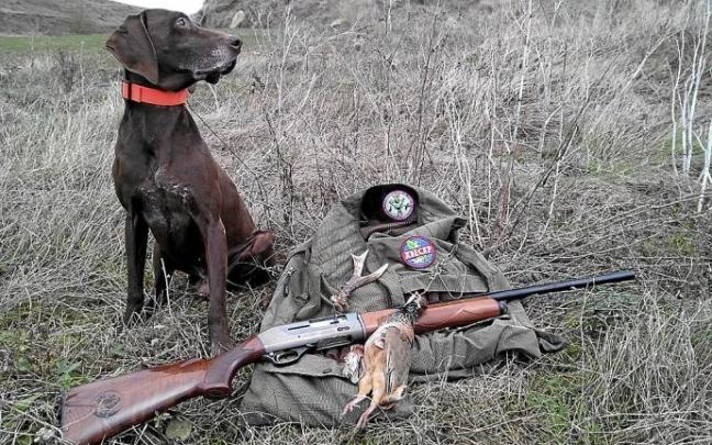 Perro con perdiz y desmogue de corzo. Foto: Óscar Hernández Sarabia