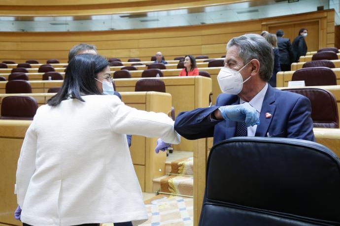 Revilla y Darias se saludan en una comisión en el Senado, a principios de la pandemia, el 30 de abril de 2020.