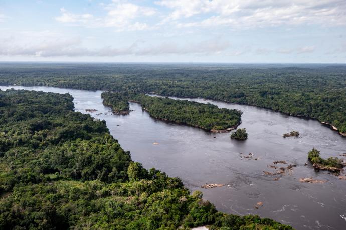 La Amazonía brasileña, donde desaparecieron Dom Phillips y Bruno Araújo.