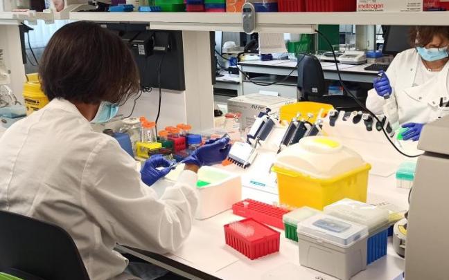 El Instituto de Salud Carlos III (ISCIII) ha detectado un total de 59 casos positivos de viruela no humana.