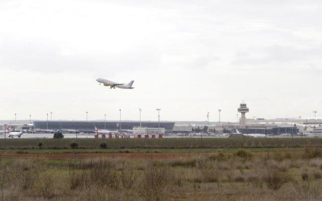 Aeropuerto de Palma de Mallorca, lugar en el que se produjo el incidente. Aeropuerto de Palma de Mallorca, lugar en el que se produjo el incidente.