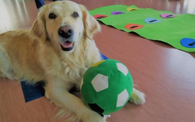 Las intervenciones con perros redujeron los niveles de cortisol de los niños.