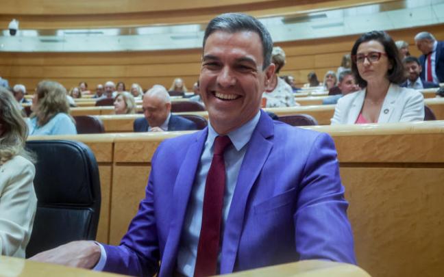 El presidente del Gobierno, Pedro Sánchez, en una sesión plenaria en el Senado. El presidente del Gobierno, Pedro Sánchez, en una sesión plenaria en el Senado.