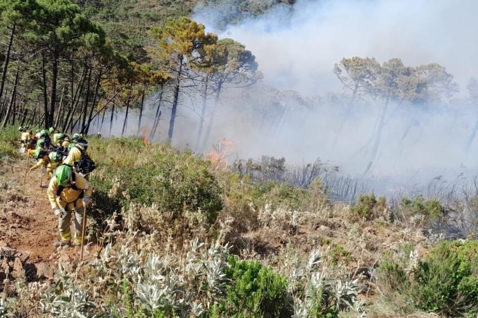 El incendio forestal de Pujerra.