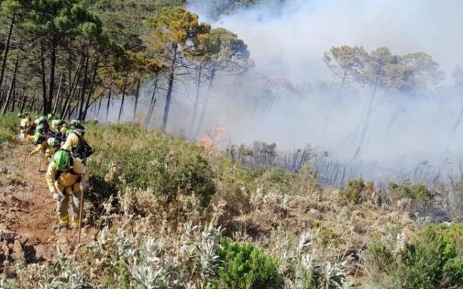 El incendio forestal de Pujerra.