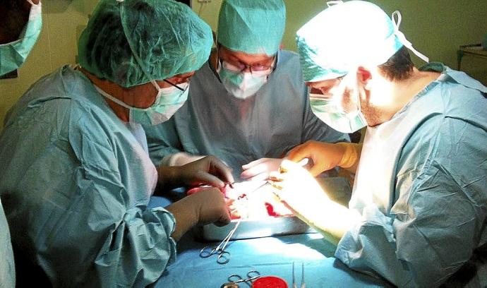 Un equipo de cirugía practicando un trasplante. Foto: Efe