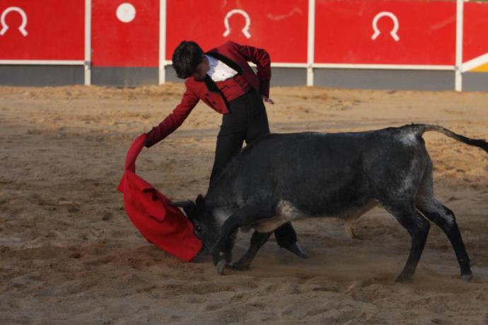 Alberto Donaire, de San Adrián y de 16 años, mostró grandes aptitudes ante 'Segoviano'.