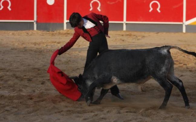 Alberto Donaire, de San Adrián y de 16 años, mostró grandes aptitudes ante 'Segoviano'. Alberto Donaire, de San Adrián y de 16 años, mostró grandes aptitudes ante 'Segoviano'.