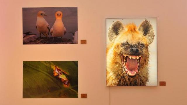 Algunas de las imágenes expuestas en Cristina Enea hasta el 13 de marzo.