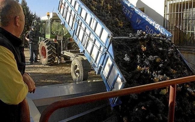 Vendimia en Rioja Alavesa. | FOTO: ARCHIVO DNA