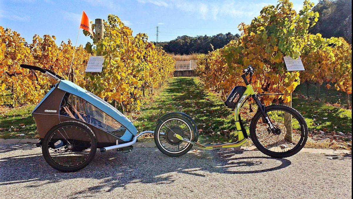 Patinete eléctrico.