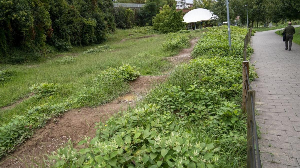 Aspecto actual de la pista para bicicletas del parque Arrobitxulo.