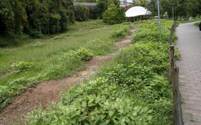 Aspecto actual de la pista para bicicletas del parque Arrobitxulo.