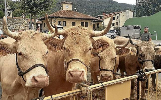 Lezok baserritarren lana goraipatu du santakrutzetan