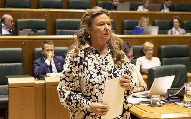 La consejera de Salud, Gotzone Sagardui, en una comparecencia en el Parlamento Vasco. La consejera de Salud, Gotzone Sagardui, en una comparecencia en el Parlamento Vasco.