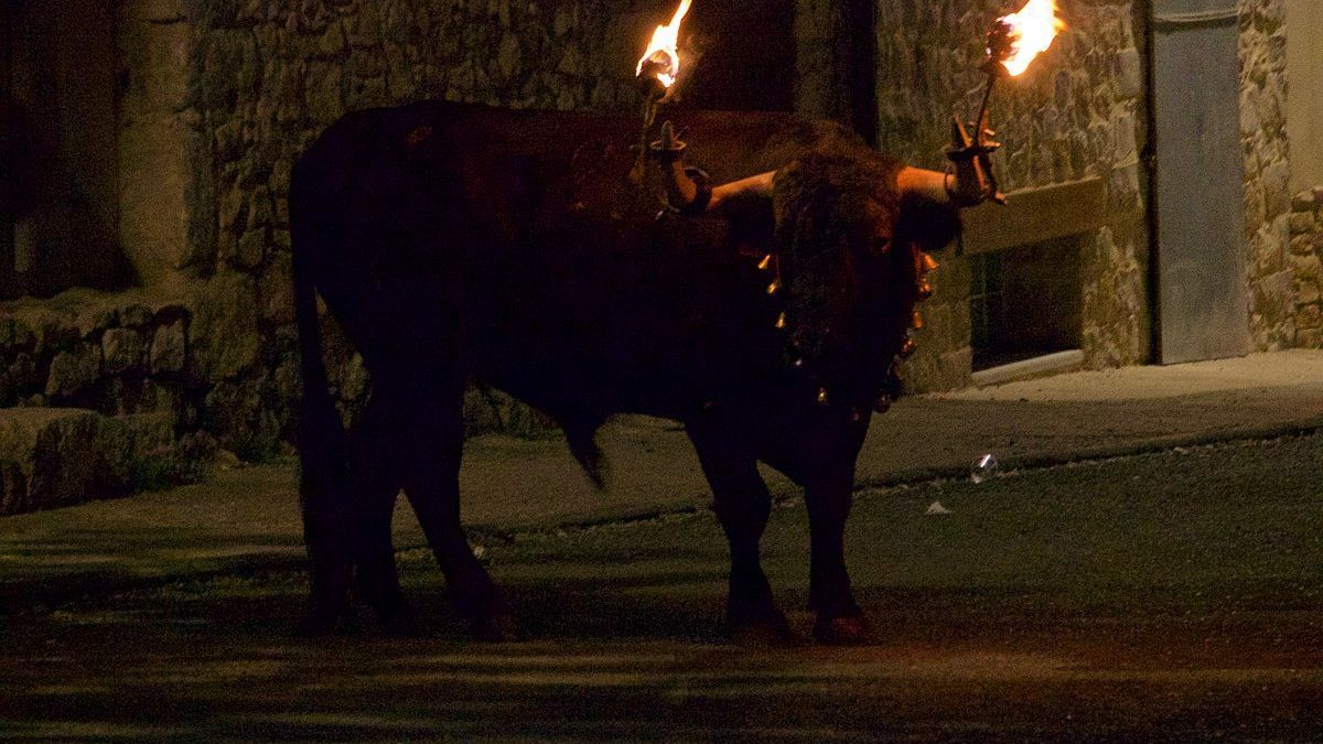 Toro embolado en Teruel.