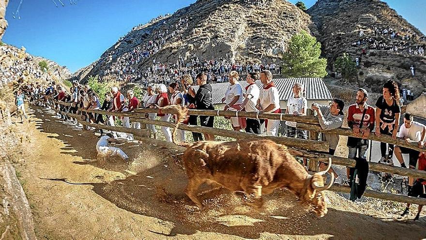 Aritz Sistiaga se impone en el concurso de fotografía ‘Fiestas de Falces’