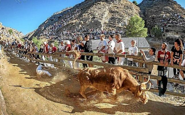Aritz Sistiaga se impone en el concurso de fotografía ‘Fiestas de Falces’