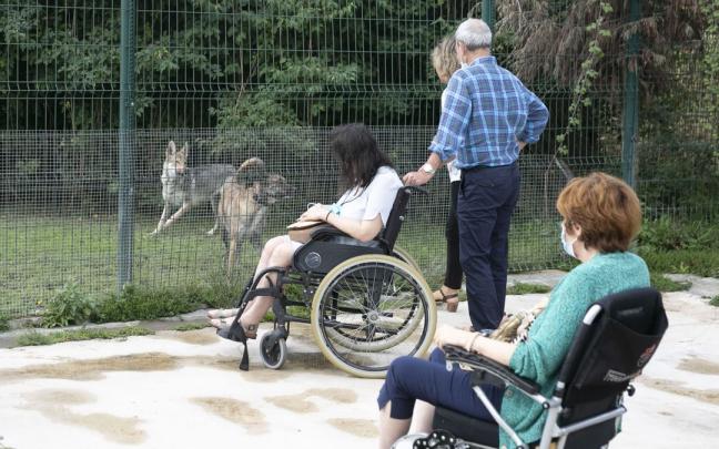 esclerosisvisitaanimalesee5a4339 esclerosisvisitaanimalesee5a4339