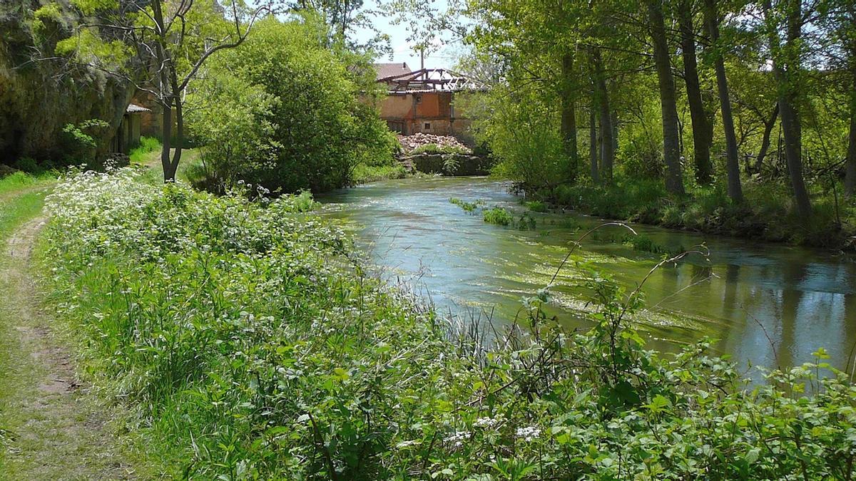 La imagen evidencia la riqueza natural del río y su cañón