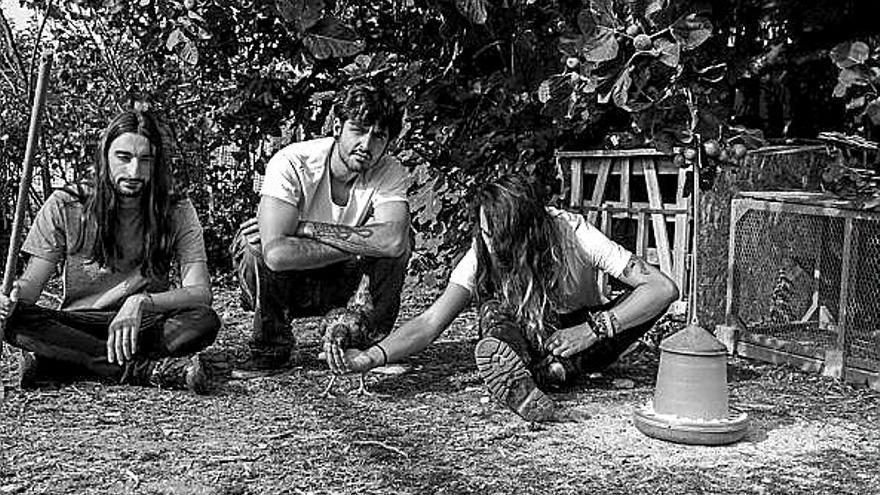 Stupid Gallos. | FOTO: CEDIDA