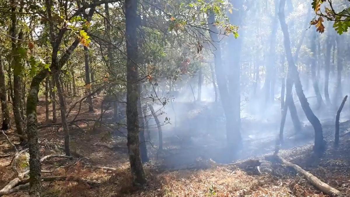 Bomberos de Araba trabajan en la extinción del fuego.