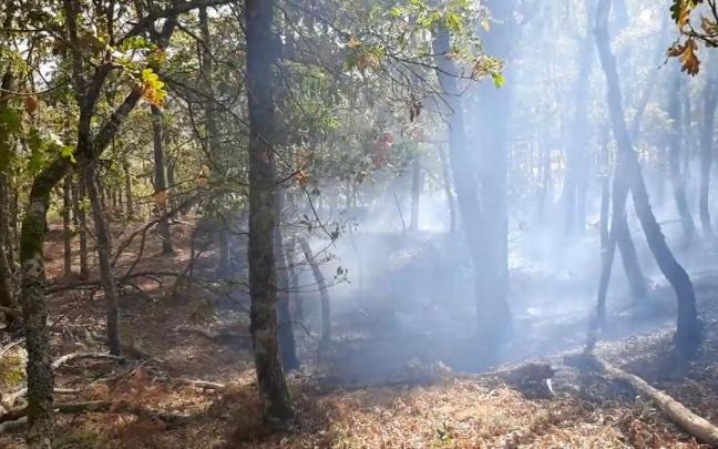 Bomberos de Araba trabajan en la extinción del fuego. Bomberos de Araba trabajan en la extinción del fuego.