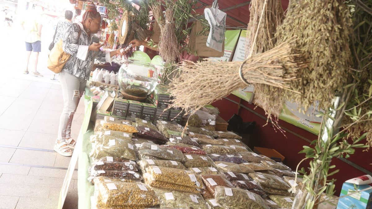 Este mercadillo se celebra desde el 2017, tras la remodelación de la avenida.