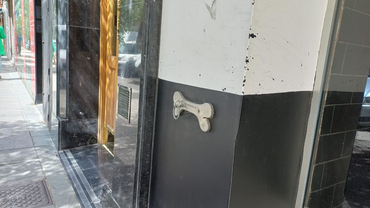 ¿Por qué no debes dejar atado a tu perro en la puerta de un comercio en Vitoria?