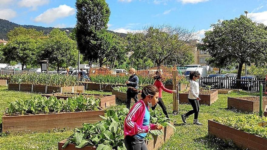 Varios chicos y chicas en los huertos urbanos de Pamplona. | FOTO: DIARIO DE NOTICIAS