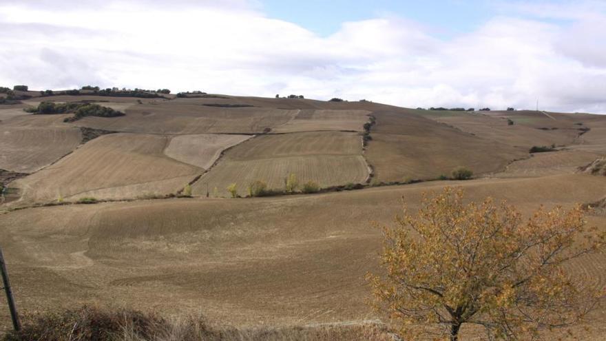 Imagen de archivo de una finca de cultivo.