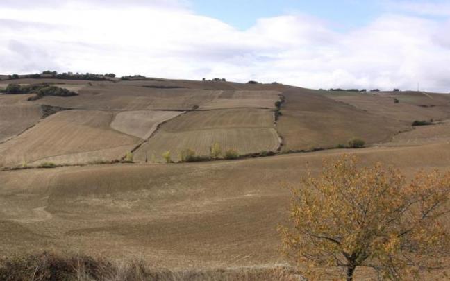Imagen de archivo de una finca de cultivo.