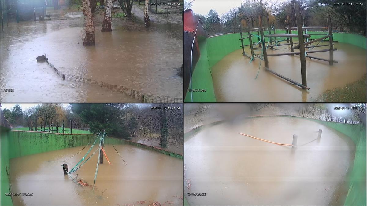 Las lluvias torrenciales inundaron el Zoo de Santillana.