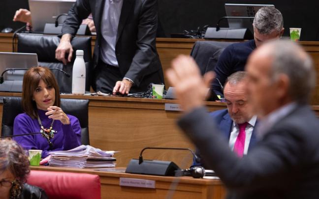 La parlamentaria de Navarra Suma, María Jesús Valdemoros, observa la intervención del portavoz de EH Bildu, Adolfo Araiz, durante el pleno del Parlamento.
