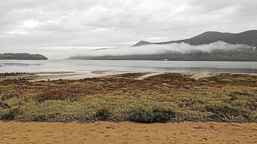 Las marismas de Urdaibai.