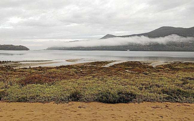 Las marismas de Urdaibai. Las marismas de Urdaibai.