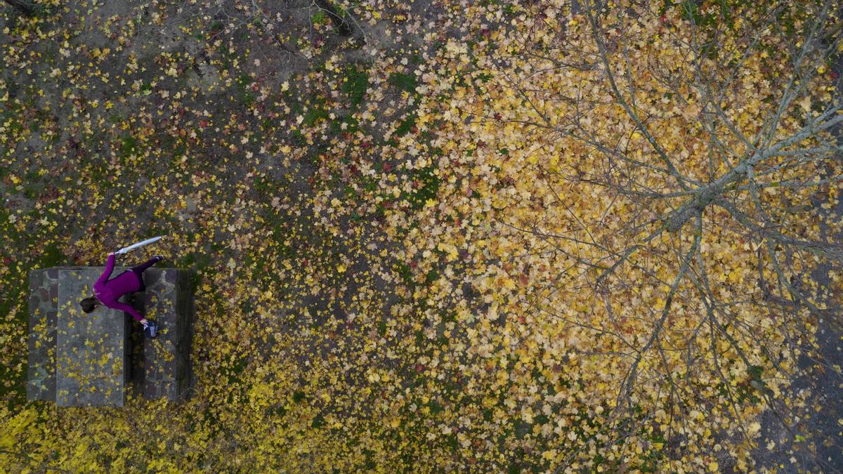 Las hojas de un árbol completamente desnudo permanecen en la hierba de un área junto al rio Arga, propiciando un paisaje típicamente otoñal.