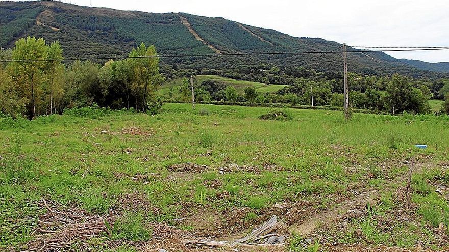 La ladera de Zaldunborda, tras el desbroce de la vegetación arbolada en 2019.