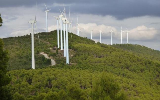 Parque eólico.