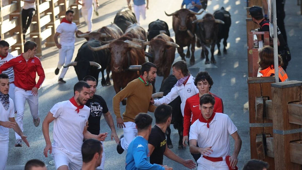 Un momento del encierro de este miércoles en Tudela, con toros de José Samuel Lupi.