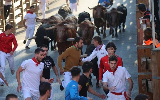 Un momento del encierro de este miércoles en Tudela, con toros de José Samuel Lupi. Un momento del encierro de este miércoles en Tudela, con toros de José Samuel Lupi.