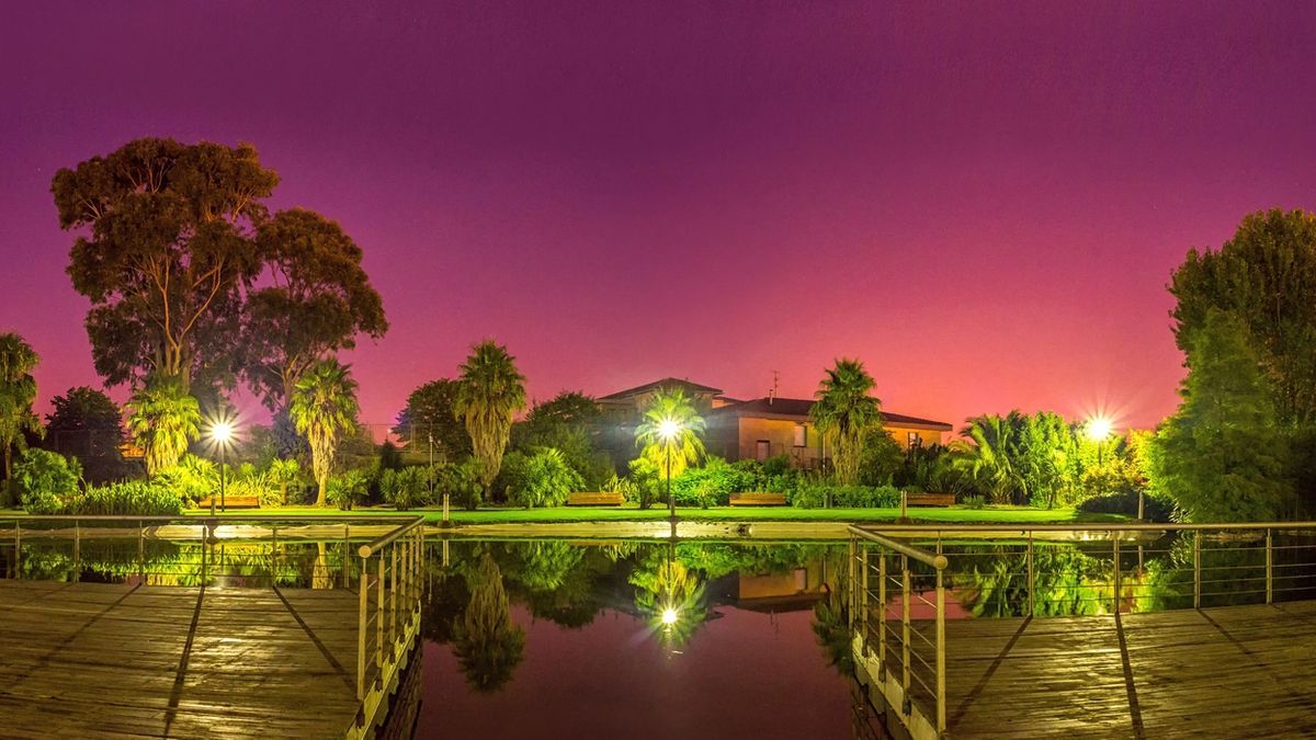 Imagen con la que Rubén Monasterio ha ganado el concurso fotográfico por el 20 aniversario del jardín botánico de Barakaldo.