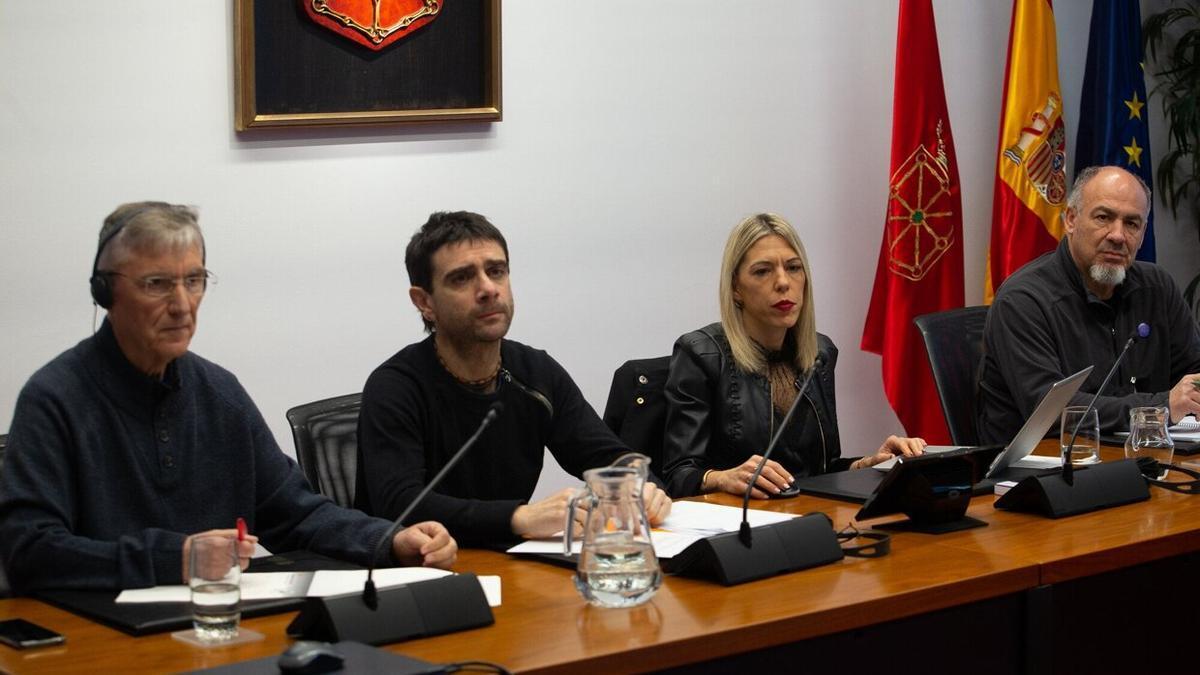 José Luis Ordóñez; Mikel Santamaría; la presidenta de la comisión, Virginia Magdaleno; y Juan Ramón Ferrandis, en el Parlamento