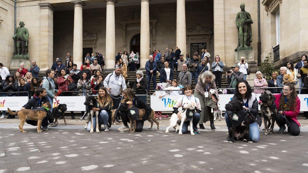 Apasos recupera su pasarela de adopción